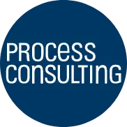 Process Consulting